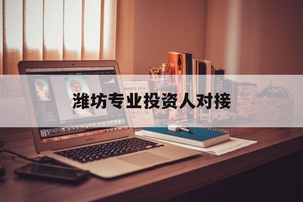 孝感市潍坊专业投资人对接(潍坊专业投资人对接中心)