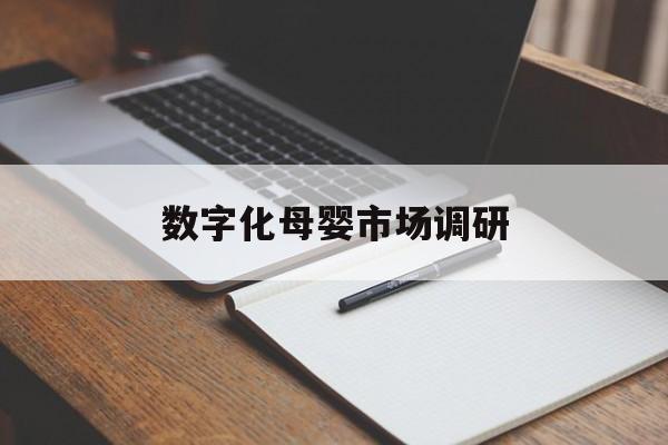 孝感市数字化母婴市场调研(数字化母婴市场调研报告)